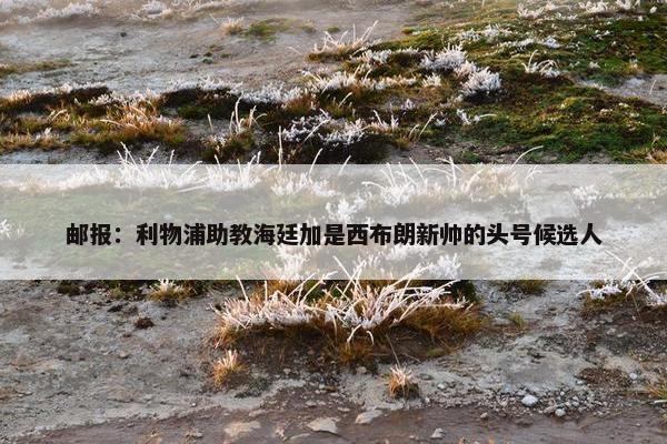 邮报：利物浦助教海廷加是西布朗新帅的头号候选人