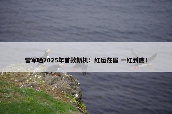 雷军晒2025年首款新机：红运在握 一红到底！