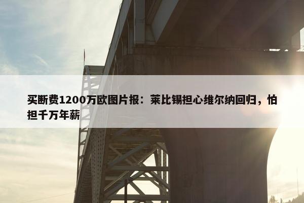 买断费1200万欧图片报：莱比锡担心维尔纳回归，怕担千万年薪