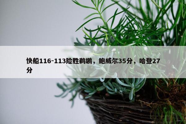 快船116-113险胜鹈鹕，鲍威尔35分，哈登27分