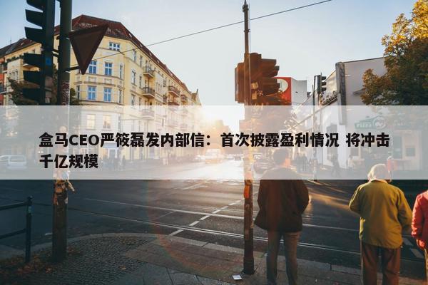 盒马CEO严筱磊发内部信：首次披露盈利情况 将冲击千亿规模