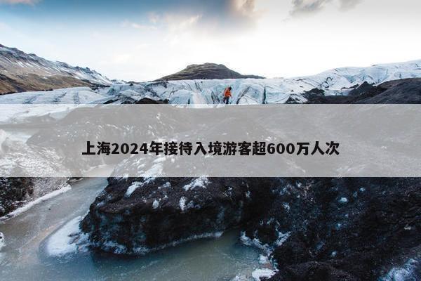 上海2024年接待入境游客超600万人次