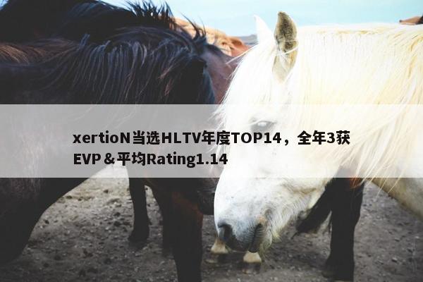 xertioN当选HLTV年度TOP14，全年3获EVP＆平均Rating1.14