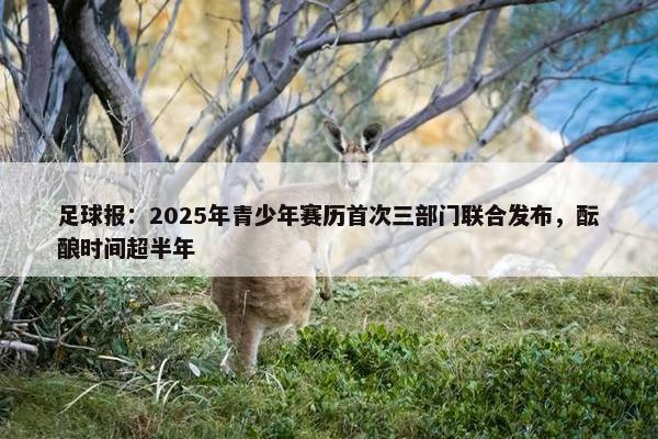 足球报：2025年青少年赛历首次三部门联合发布，酝酿时间超半年