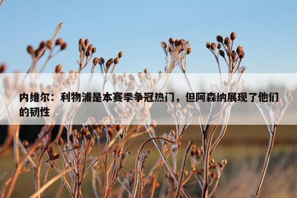 内维尔：利物浦是本赛季争冠热门，但阿森纳展现了他们的韧性