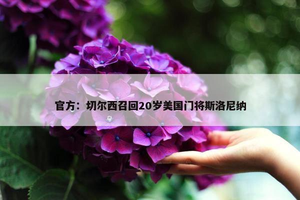 官方：切尔西召回20岁美国门将斯洛尼纳