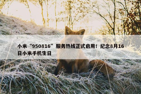 小米“950816”服务热线正式启用！纪念8月16日小米手机生日