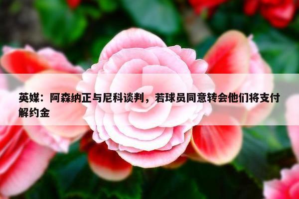 英媒：阿森纳正与尼科谈判，若球员同意转会他们将支付解约金