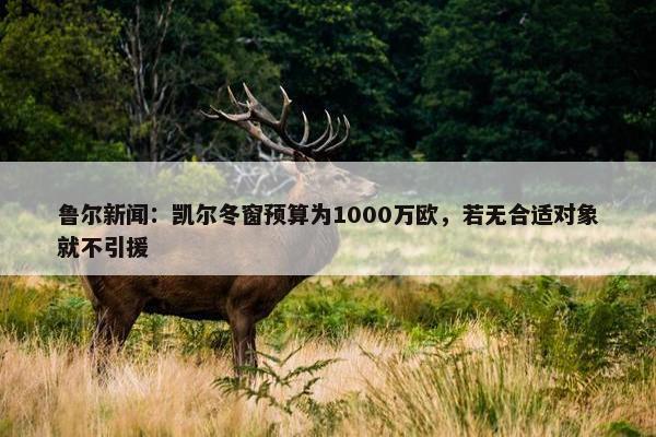 鲁尔新闻：凯尔冬窗预算为1000万欧，若无合适对象就不引援