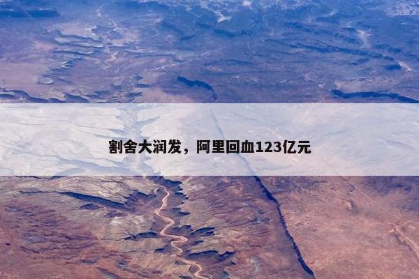 割舍大润发，阿里回血123亿元