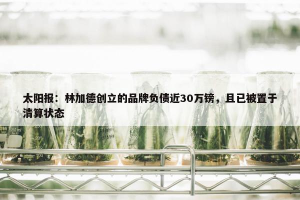 太阳报：林加德创立的品牌负债近30万镑，且已被置于清算状态