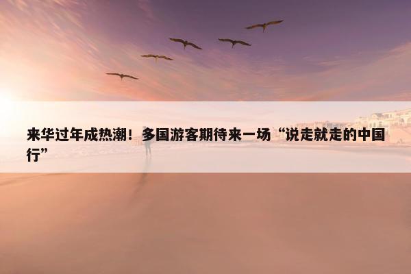 来华过年成热潮！多国游客期待来一场“说走就走的中国行”