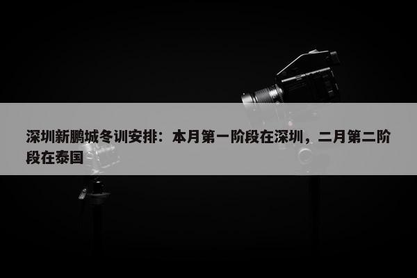 深圳新鹏城冬训安排：本月第一阶段在深圳，二月第二阶段在泰国