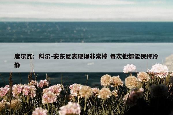 席尔瓦：科尔-安东尼表现得非常棒 每次他都能保持冷静