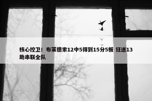 核心控卫！布莱德索12中5得到15分5板 狂送13助串联全队