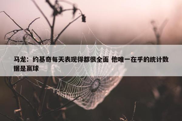 马龙：约基奇每天表现得都很全面 他唯一在乎的统计数据是赢球