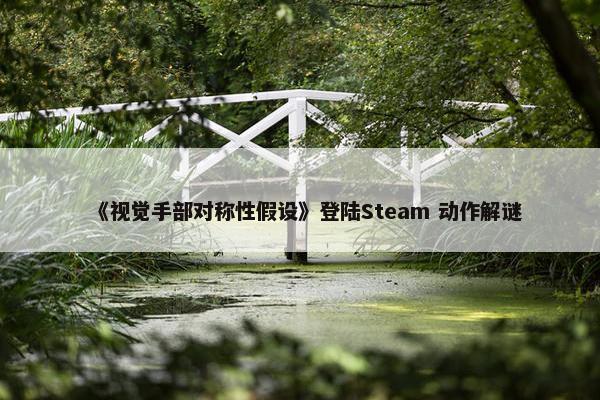 《视觉手部对称性假设》登陆Steam 动作解谜