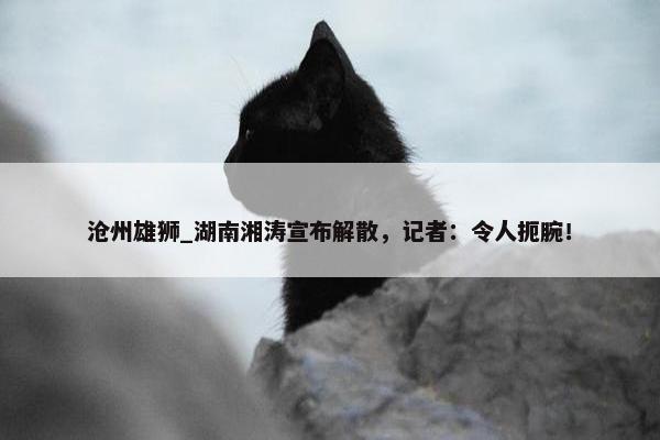 沧州雄狮_湖南湘涛宣布解散，记者：令人扼腕！