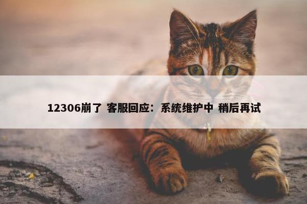 12306崩了 客服回应：系统维护中 稍后再试