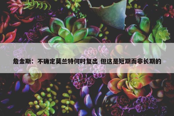 詹金斯：不确定莫兰特何时复出 但这是短期而非长期的