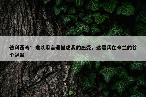 普利西奇：难以用言语描述我的感受，这是我在米兰的首个冠军