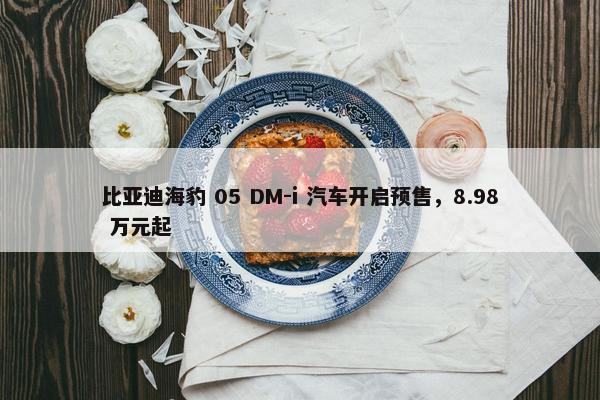 比亚迪海豹 05 DM-i 汽车开启预售，8.98 万元起