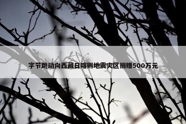 字节跳动向西藏日喀则地震灾区捐赠500万元