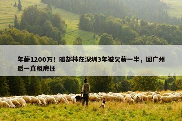 年薪1200万！曝郜林在深圳3年被欠薪一半，回广州后一直租房住