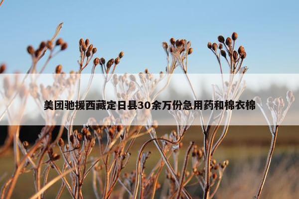 美团驰援西藏定日县30余万份急用药和棉衣棉