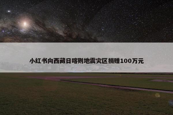 小红书向西藏日喀则地震灾区捐赠100万元