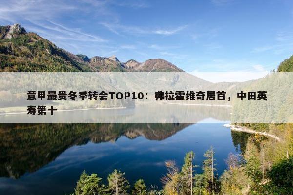 意甲最贵冬季转会TOP10：弗拉霍维奇居首，中田英寿第十