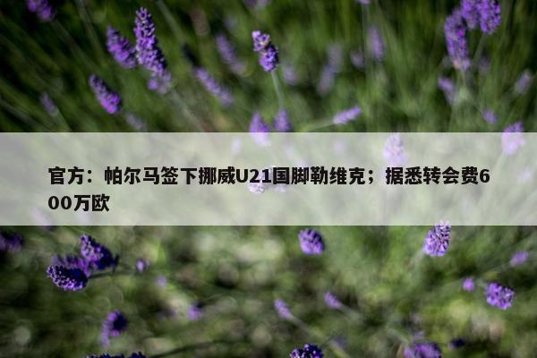 官方：帕尔马签下挪威U21国脚勒维克；据悉转会费600万欧