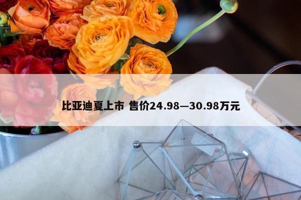 比亚迪夏上市 售价24.98—30.98万元