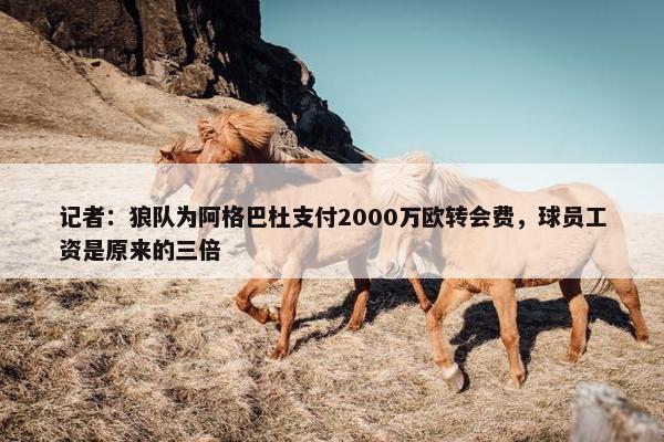 记者：狼队为阿格巴杜支付2000万欧转会费，球员工资是原来的三倍