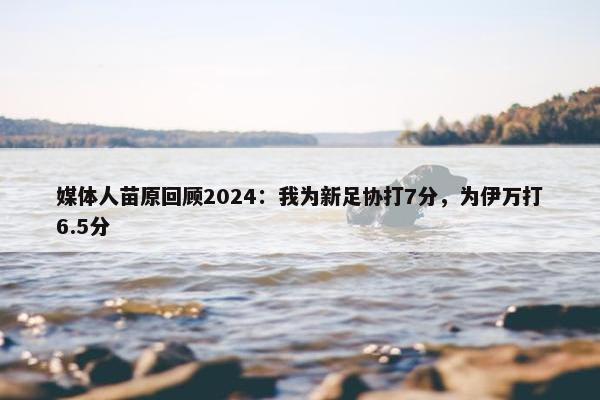 媒体人苗原回顾2024：我为新足协打7分，为伊万打6.5分