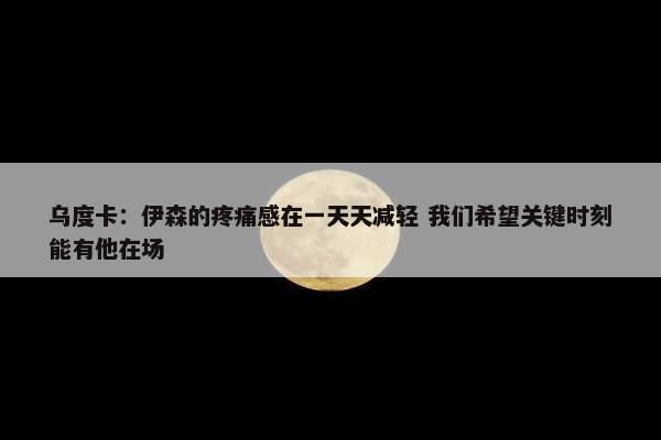 乌度卡：伊森的疼痛感在一天天减轻 我们希望关键时刻能有他在场