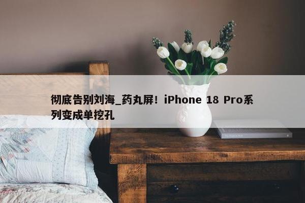 彻底告别刘海_药丸屏！iPhone 18 Pro系列变成单挖孔