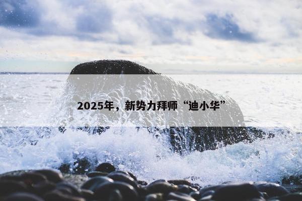 2025年，新势力拜师“迪小华”