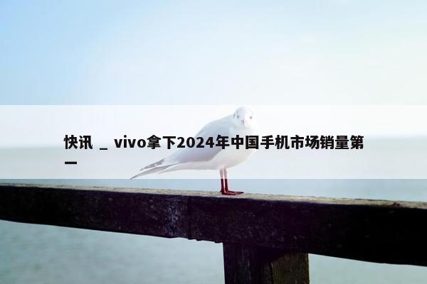 快讯 _ vivo拿下2024年中国手机市场销量第一