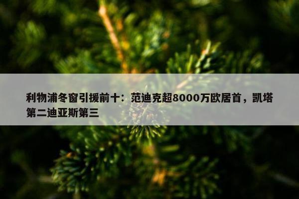 利物浦冬窗引援前十：范迪克超8000万欧居首，凯塔第二迪亚斯第三