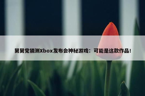 舅舅党猜测Xbox发布会神秘游戏：可能是这款作品！