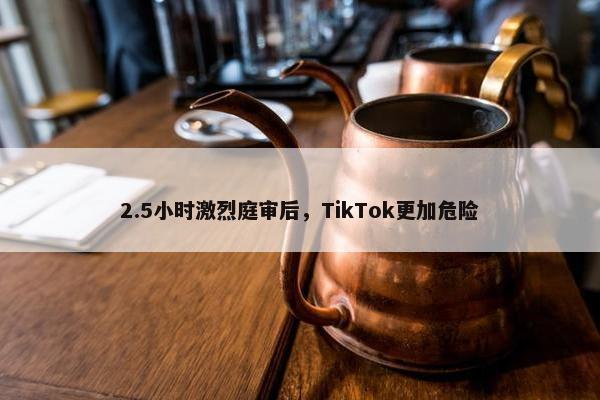 2.5小时激烈庭审后，TikTok更加危险