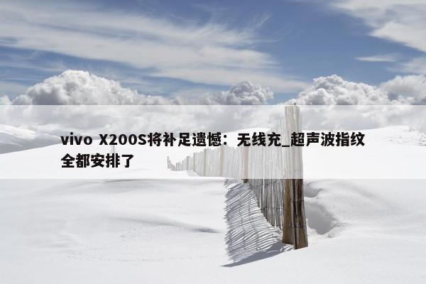 vivo X200S将补足遗憾：无线充_超声波指纹全都安排了