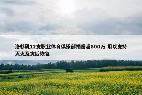 洛杉矶12支职业体育俱乐部捐赠超800万 用以支持灭火及灾后恢复