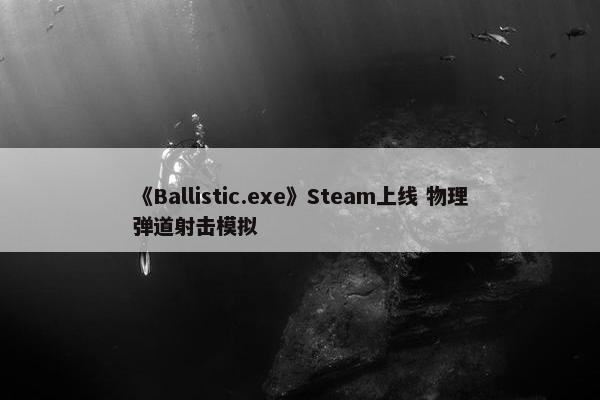 《Ballistic.exe》Steam上线 物理弹道射击模拟