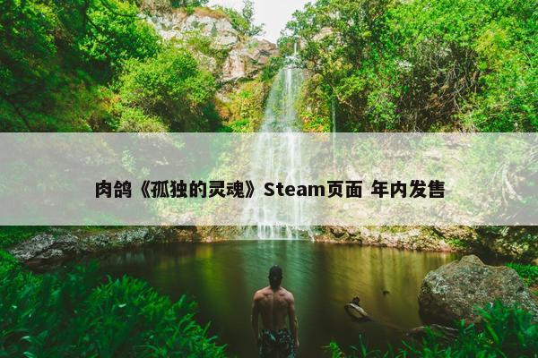 肉鸽《孤独的灵魂》Steam页面 年内发售