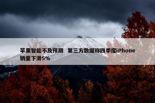 苹果智能不及预期  第三方数据称四季度iPhone销量下滑5%