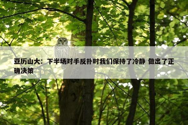 亚历山大：下半场对手反扑时我们保持了冷静 做出了正确决策