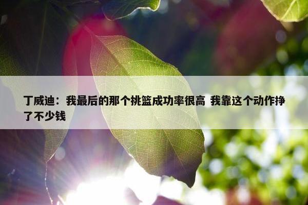 丁威迪：我最后的那个挑篮成功率很高 我靠这个动作挣了不少钱