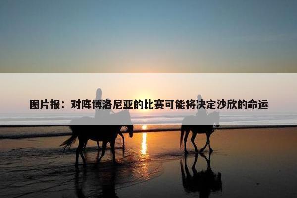 图片报：对阵博洛尼亚的比赛可能将决定沙欣的命运